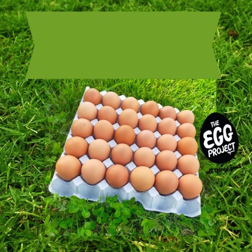30 Free Range Eggs - Mixed Grade